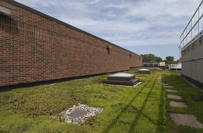 The green roof at the Lou Romano Water Reclamation Plant is pictured on Sept. 12, 2017.