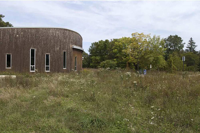 A rain garden is pictured at the Ojibway Nature Centre on Sept. 12, 2017