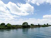 Boat Tours