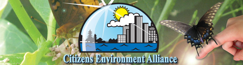 Citizens Environment Alliance