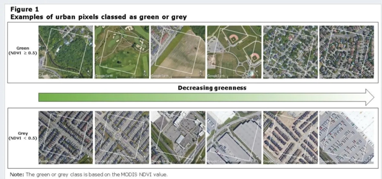 Windsor going grey after large drop in green spaces seen from space