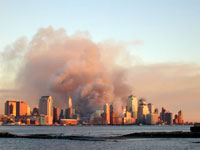 Toxins in the city.